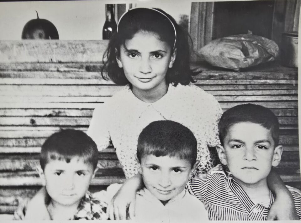 nino mamuka malkhazi niko