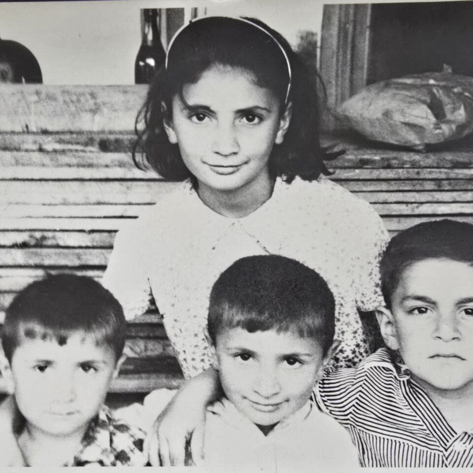 nino mamuka malkhazi niko