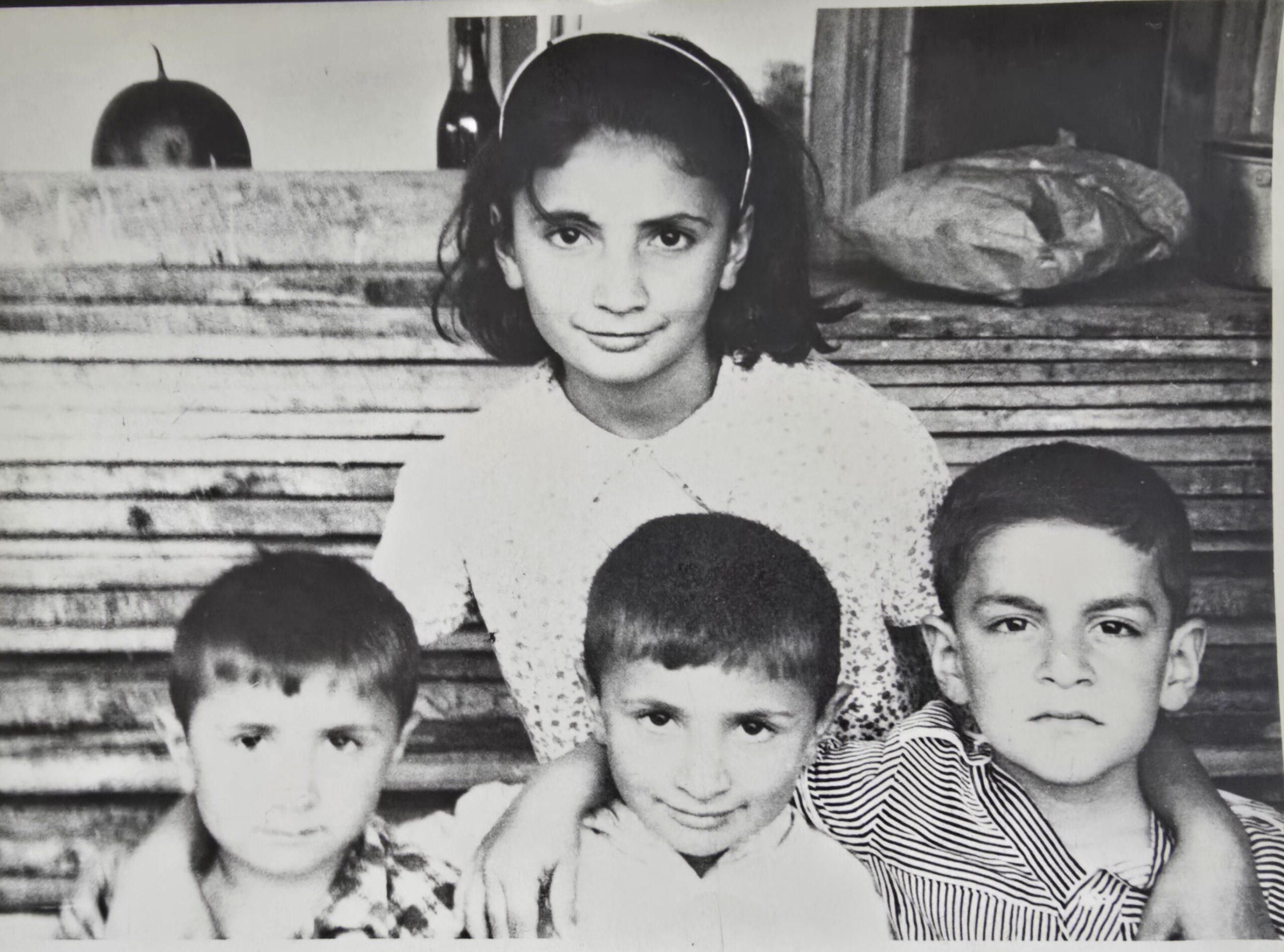 nino mamuka malkhazi niko